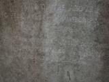 image of grave number 904536